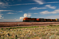The American West