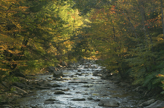 Hidden Stream<br />
Windsor County<br />
Vermont