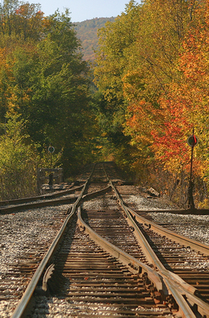 Autumn Tracks<br />
Windsor County<br />
Vermont