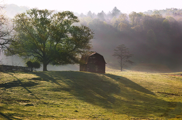 Country Morning<br />
Fannin County<br />
Georgia