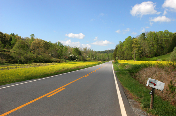 RFD<br />
Fannin County<br />
Georgia