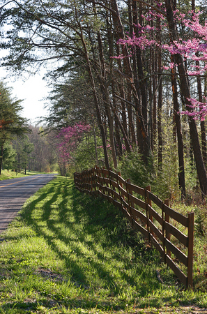 Parallels # 2<br />
Rockbridge County<br />
Virginia