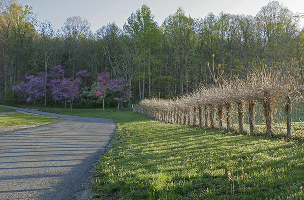 Parallels # 1<br />
Rockbridge County<br />
Virginia