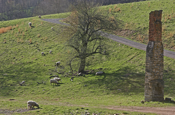 Spring Lambs<br />
Highland County<br />
Virginia