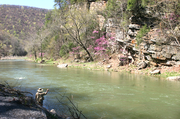 Perfect Cast<br />
Pendleton County<br />
West Virginia