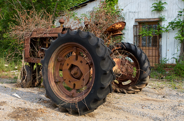 Last Harvest<br />
Perry County<br />
Alabama
