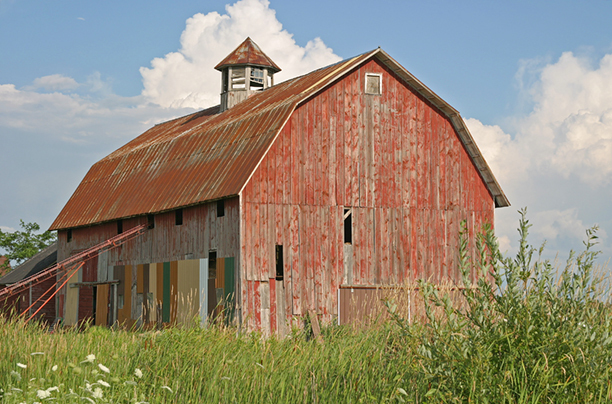 Color Palette<br />
Waushara County<br />
Wisconsin