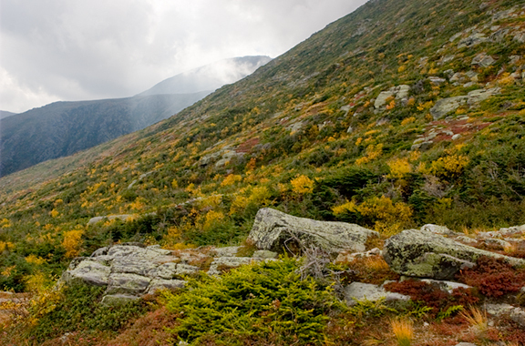 Mountain Palette<br />
Mt Washington<br />
New Hampshire