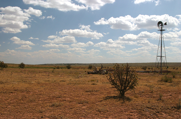 Sunbaked<br />
Quay County<br />
New Mexico