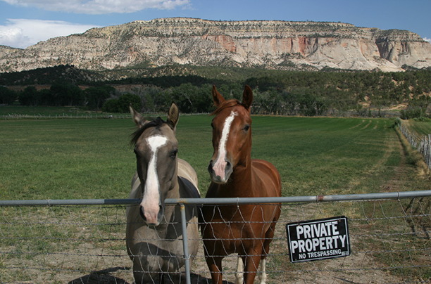 Don't Fence Us In<br />
Kane County<br />
Utah