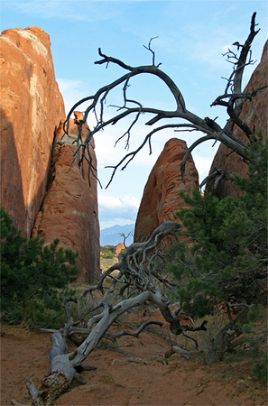 Obstacle Course<br />
Arches National Park<br />
Utah