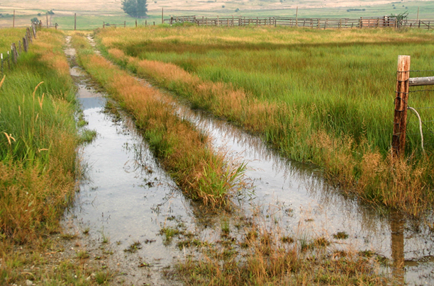 Wet Canvas<br />
Missoula County<br />
Montana