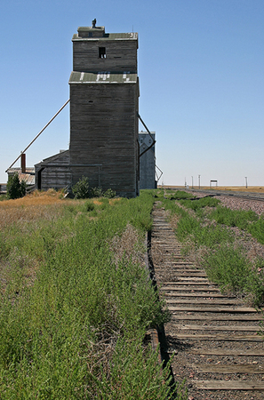 Siding at Lothair<br />
Liberty County<br />
Montana