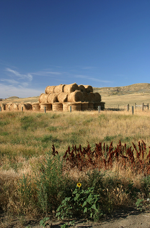 Hay Pyramid<br />
Campbell County<br />
Wyoming