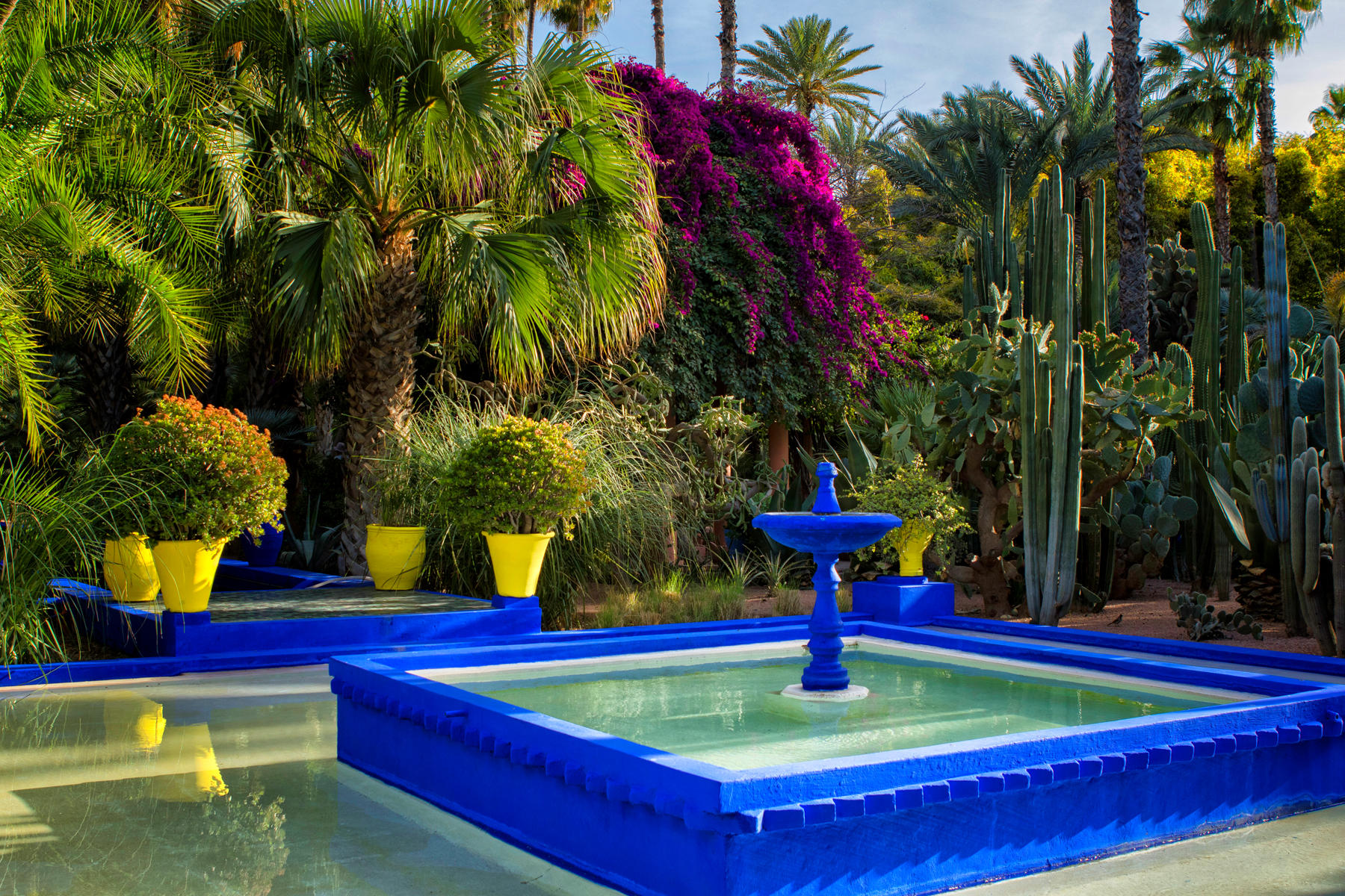 Majorelle Garden<br />Marrakech<br />0500