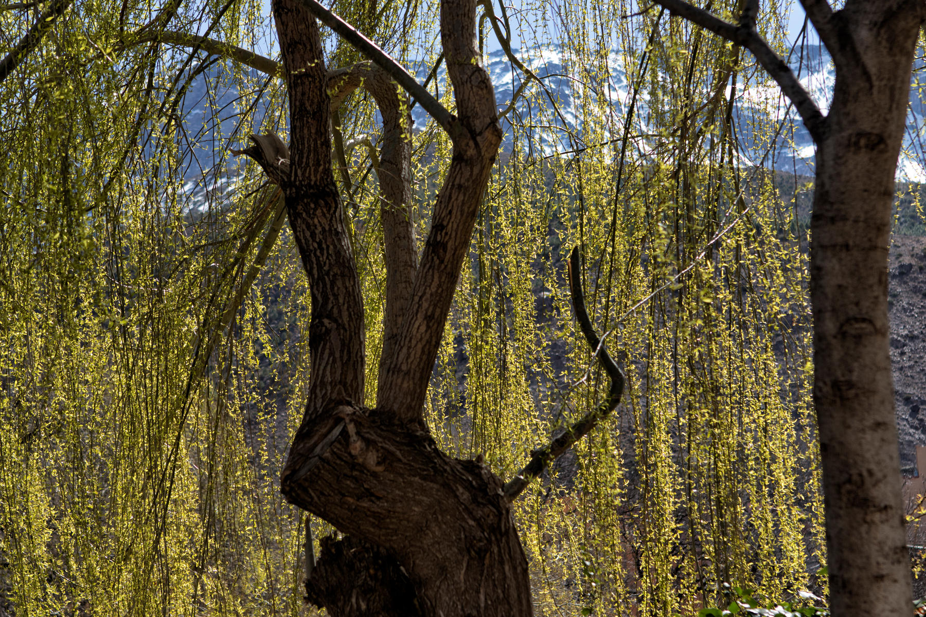 Village of Imlil, High Atlas Mountains<br />0761
