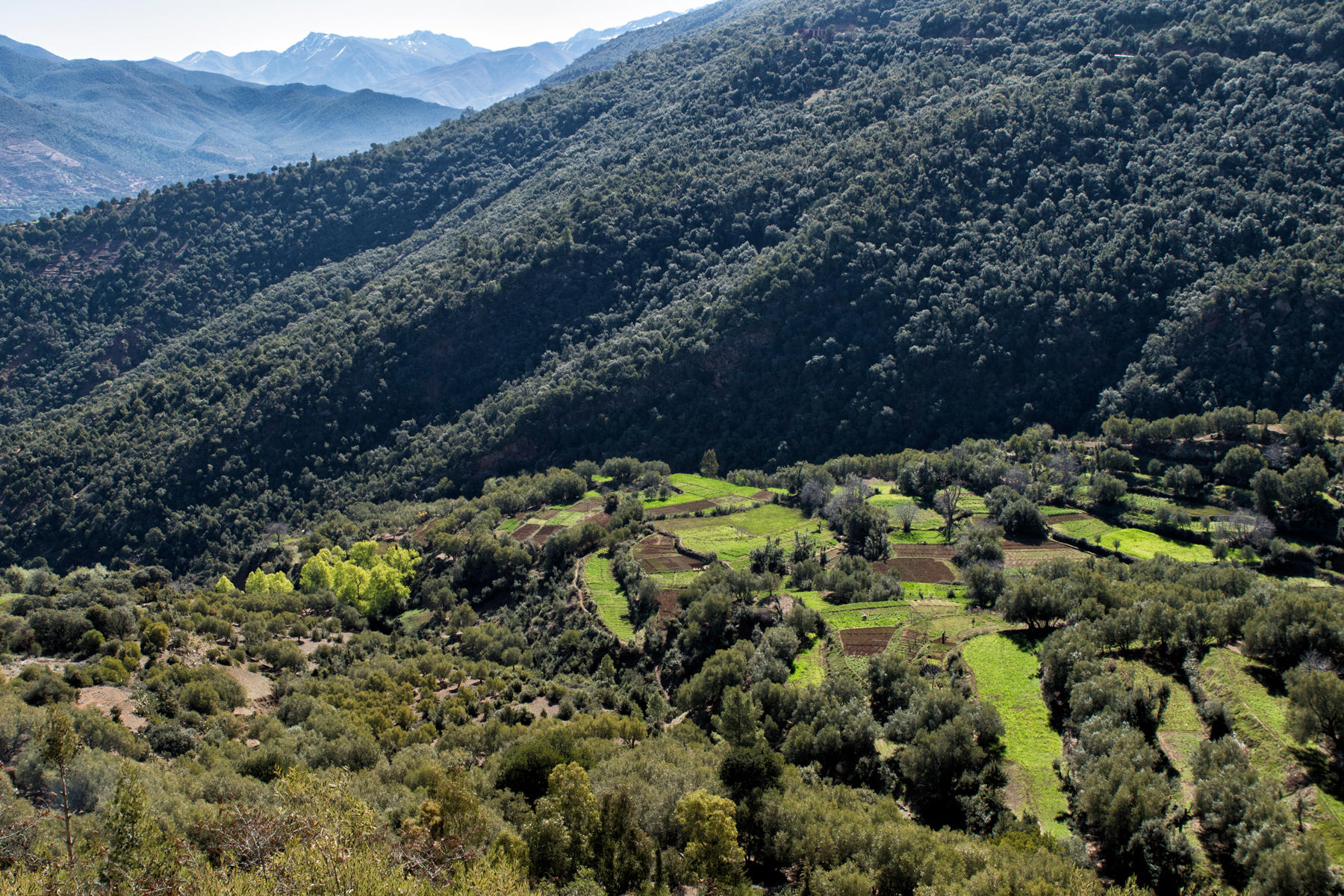 View from Toufliht, High Atlas Mountains<br />0951