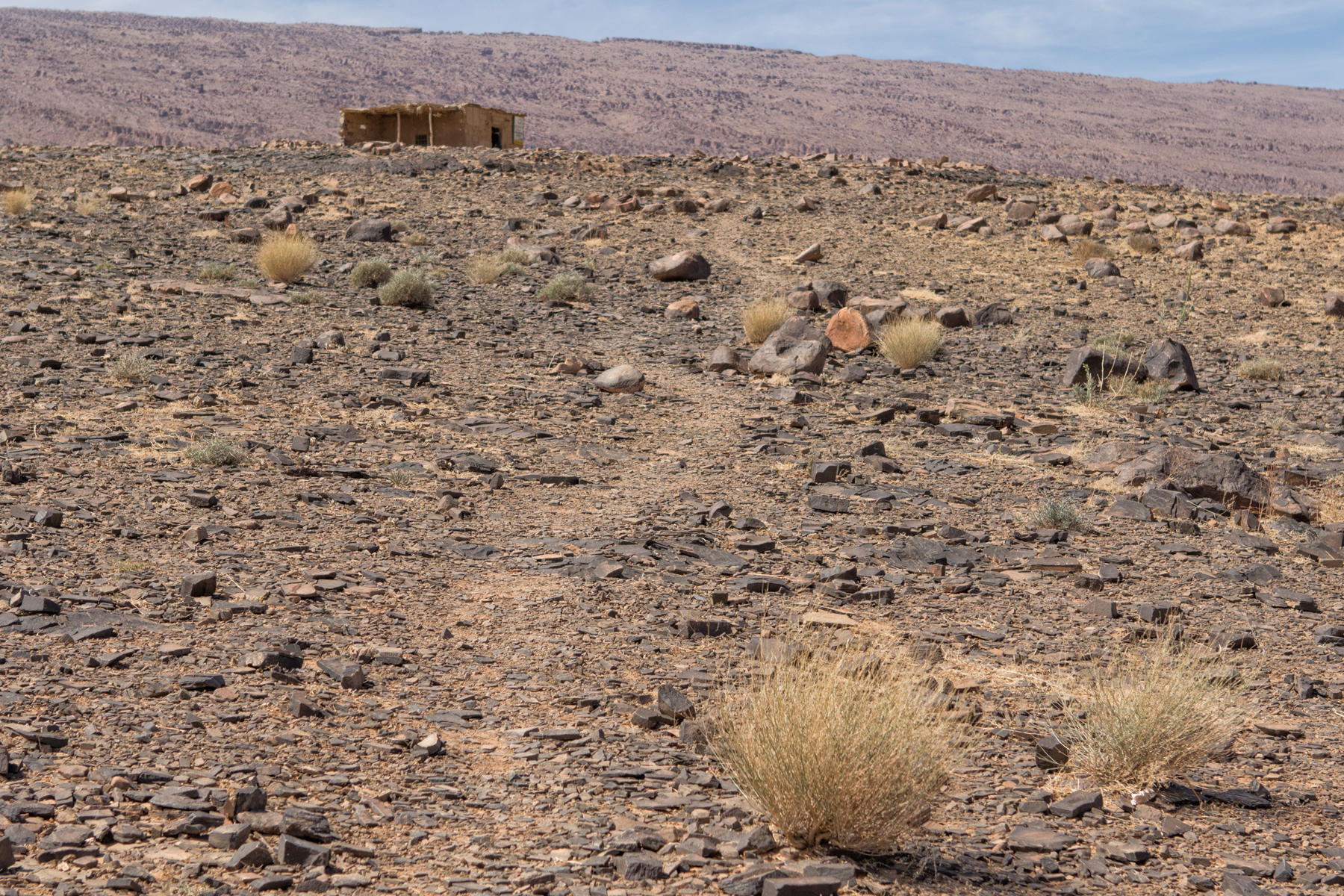 Ait Ouazik Petroglyphs Site<br />1415