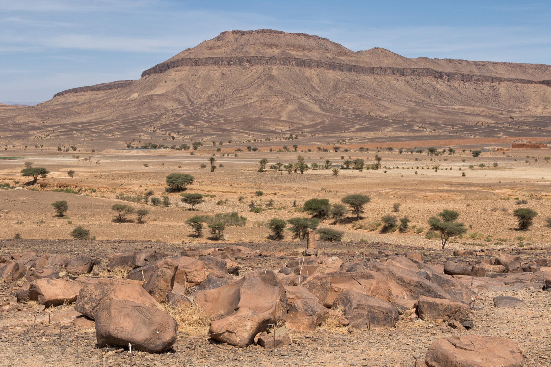 Ait Ouazik Petroglyphs Site<br />1464