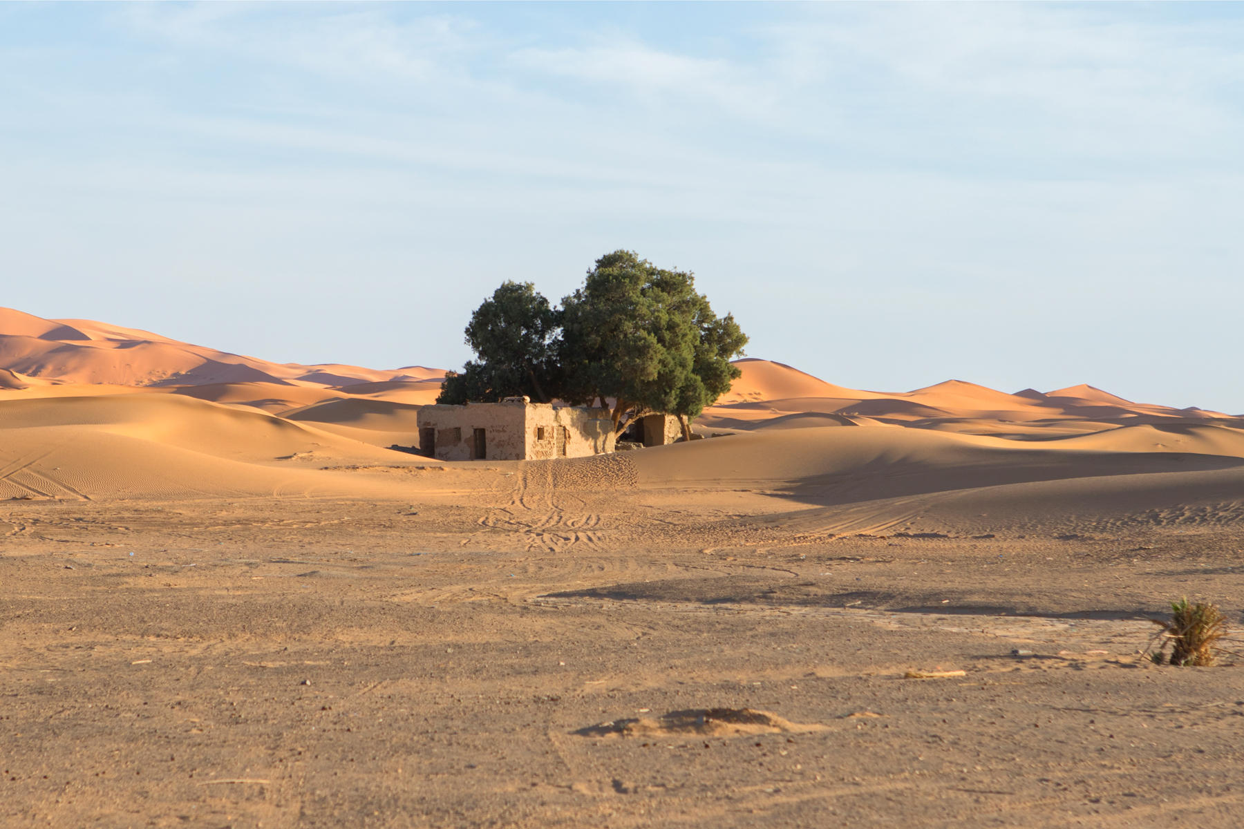 Erg Chebbi<br />1922