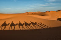 © Lawrence Lee. All Rights Reserved.