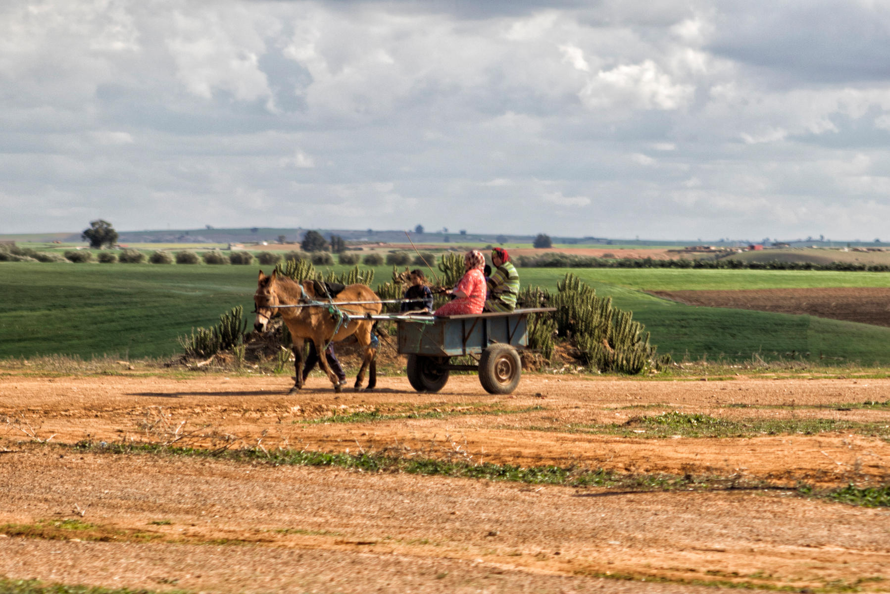 Meknes Countryside<br />2708