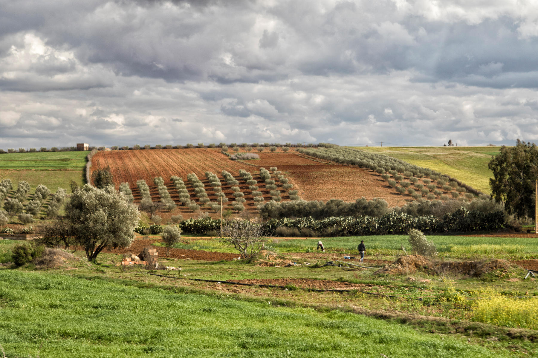 Meknes Countryside<br />2731