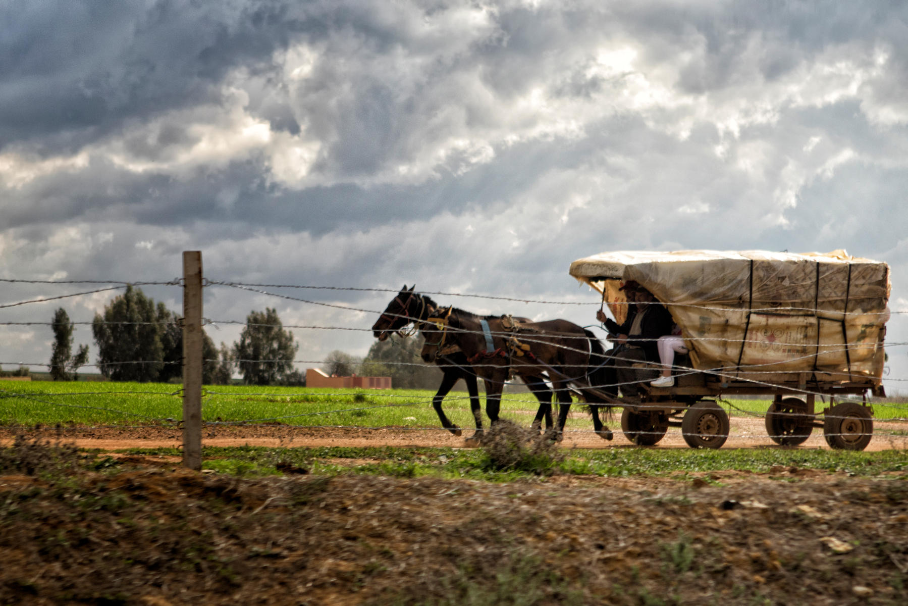 Meknes Countryside<br />2747