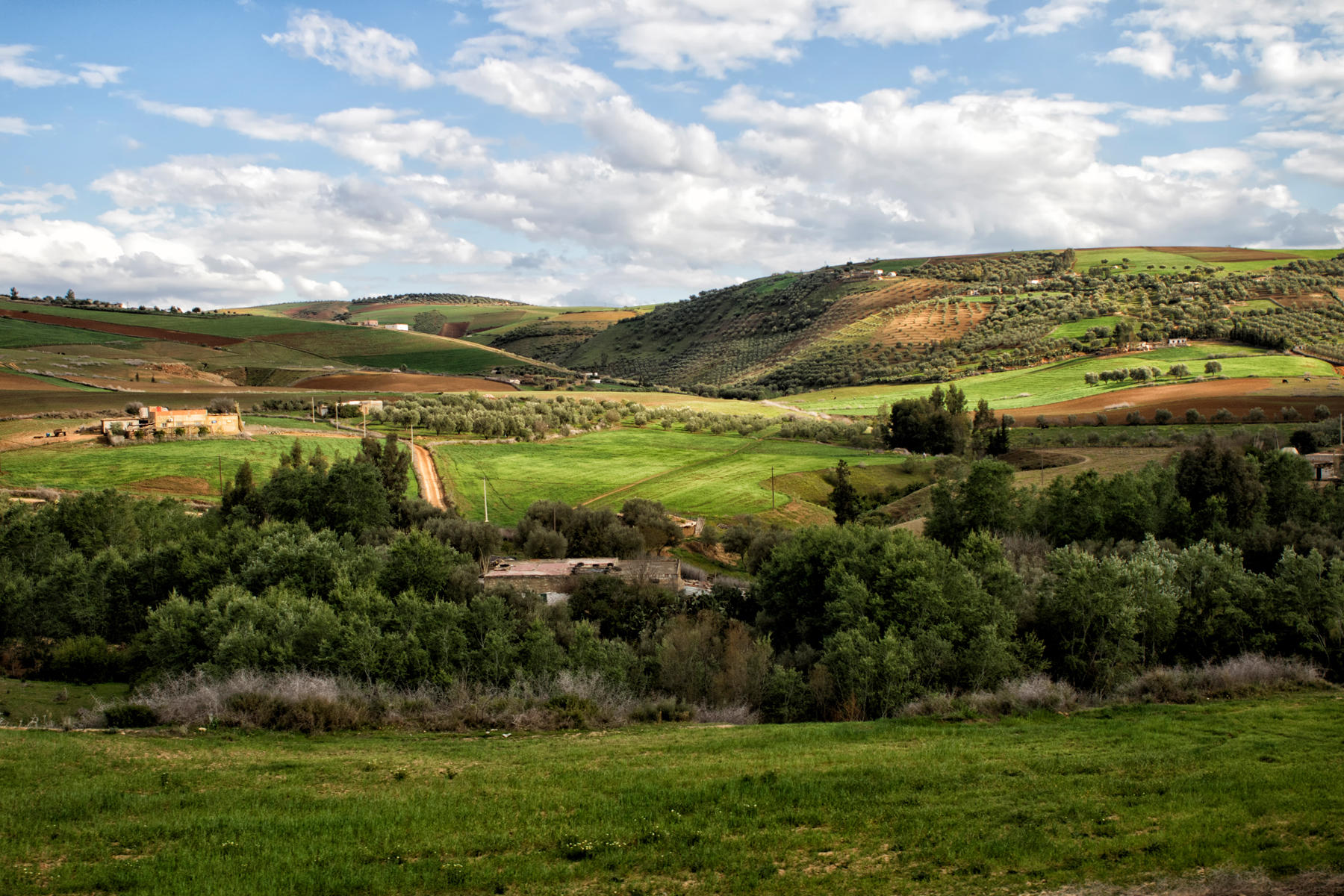 Meknes Countryside<br />2777