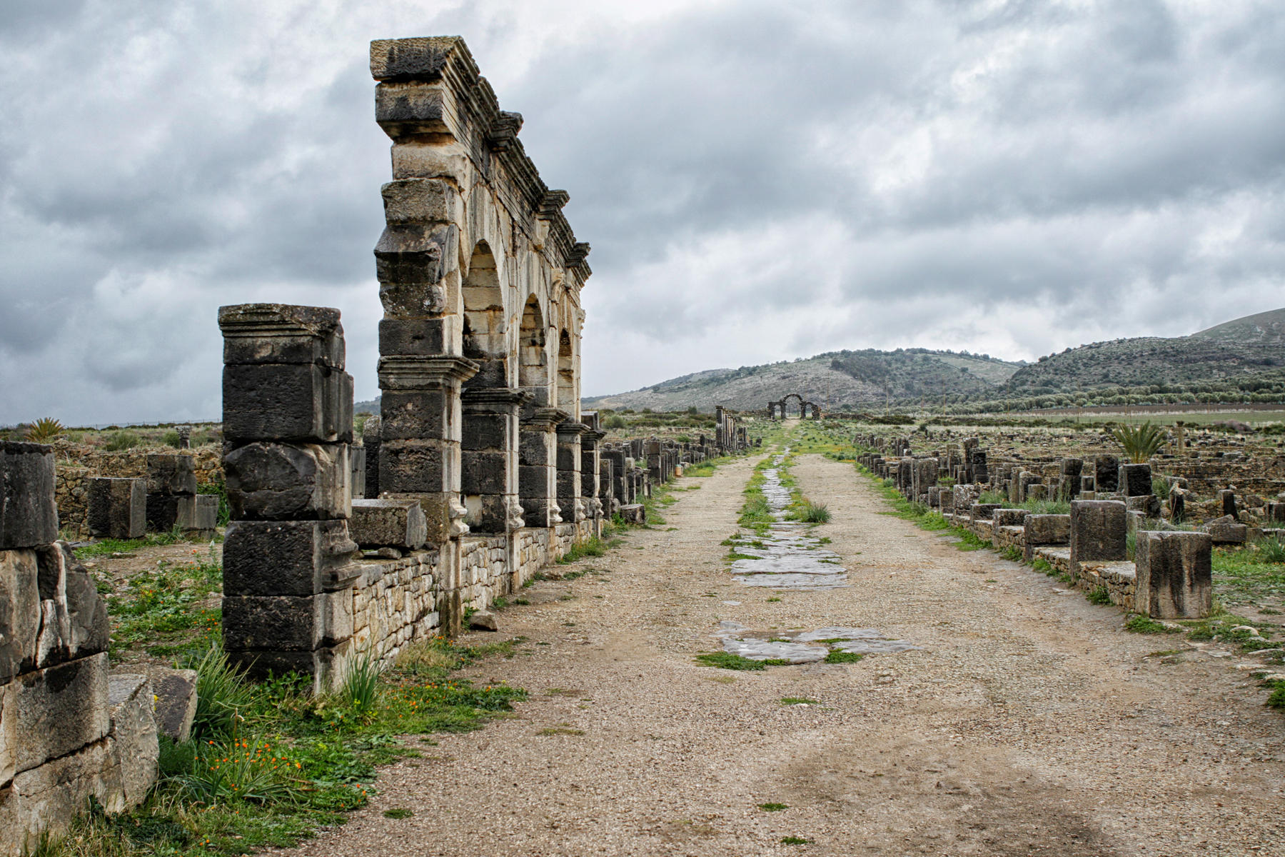 The Decumanus Maximus, 
Volubilis<br />3180