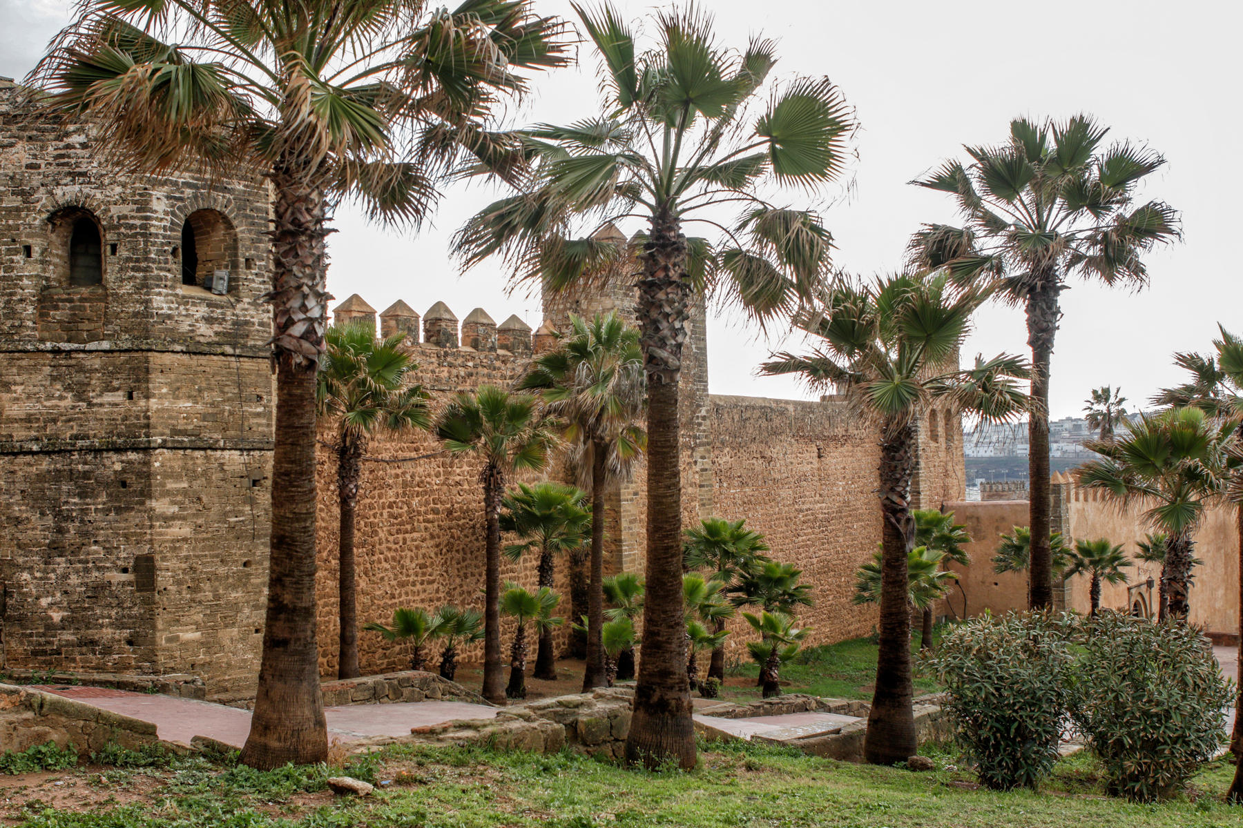 Oudaia Kasbah, 
Rabat<br />3380
