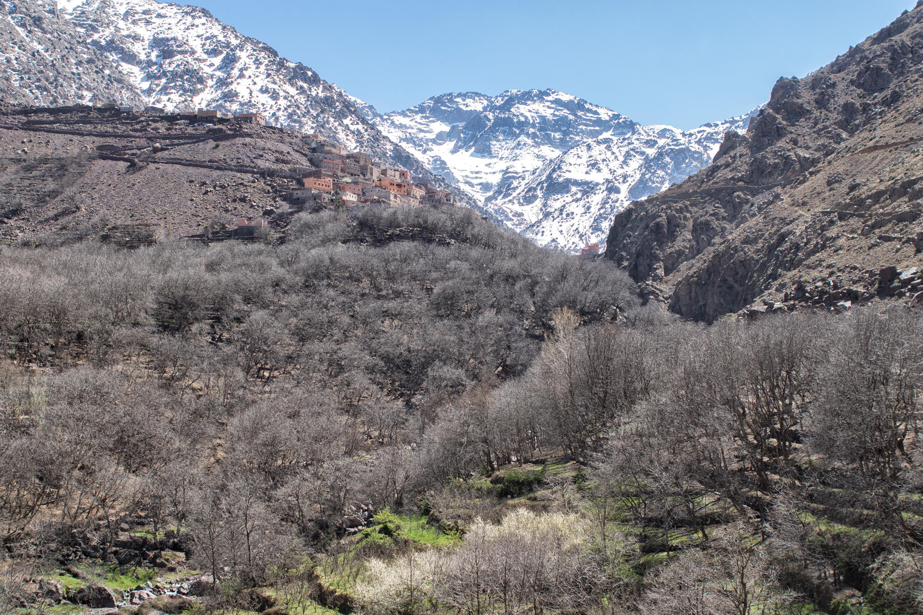 High Atlas Mountains,
near Imlil<br />0870