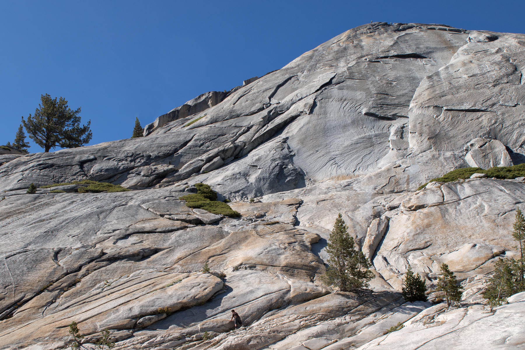 Tioga Road View 1315<br />Yosemite