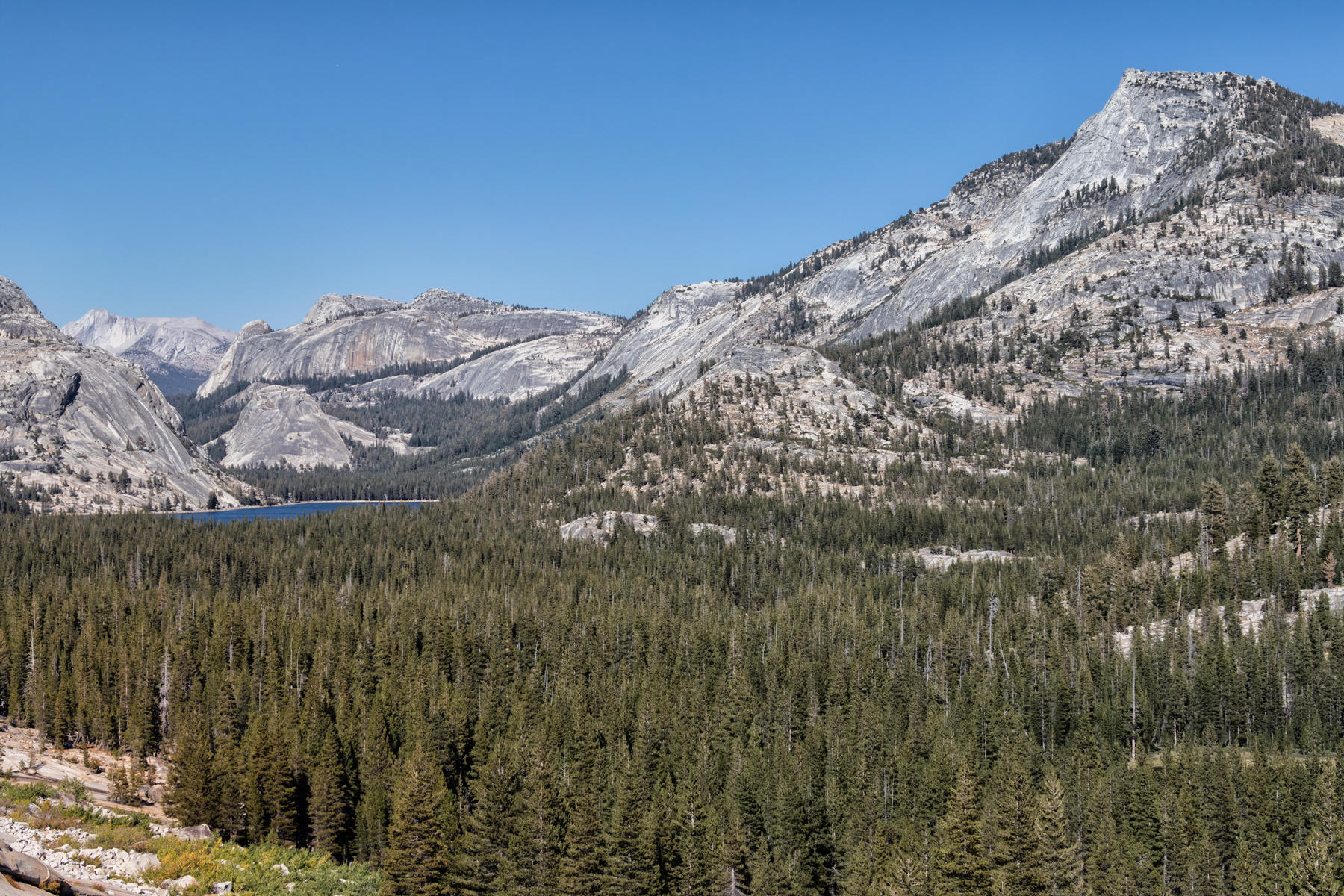 Tenaya Lake 1317<br />Yosemite