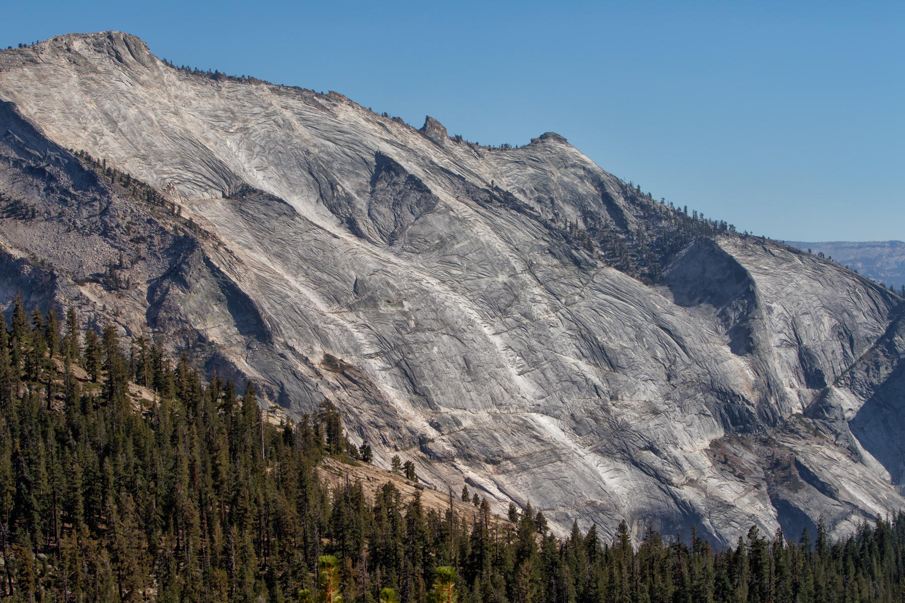 Tioga Road View 1336<br />Yosemite