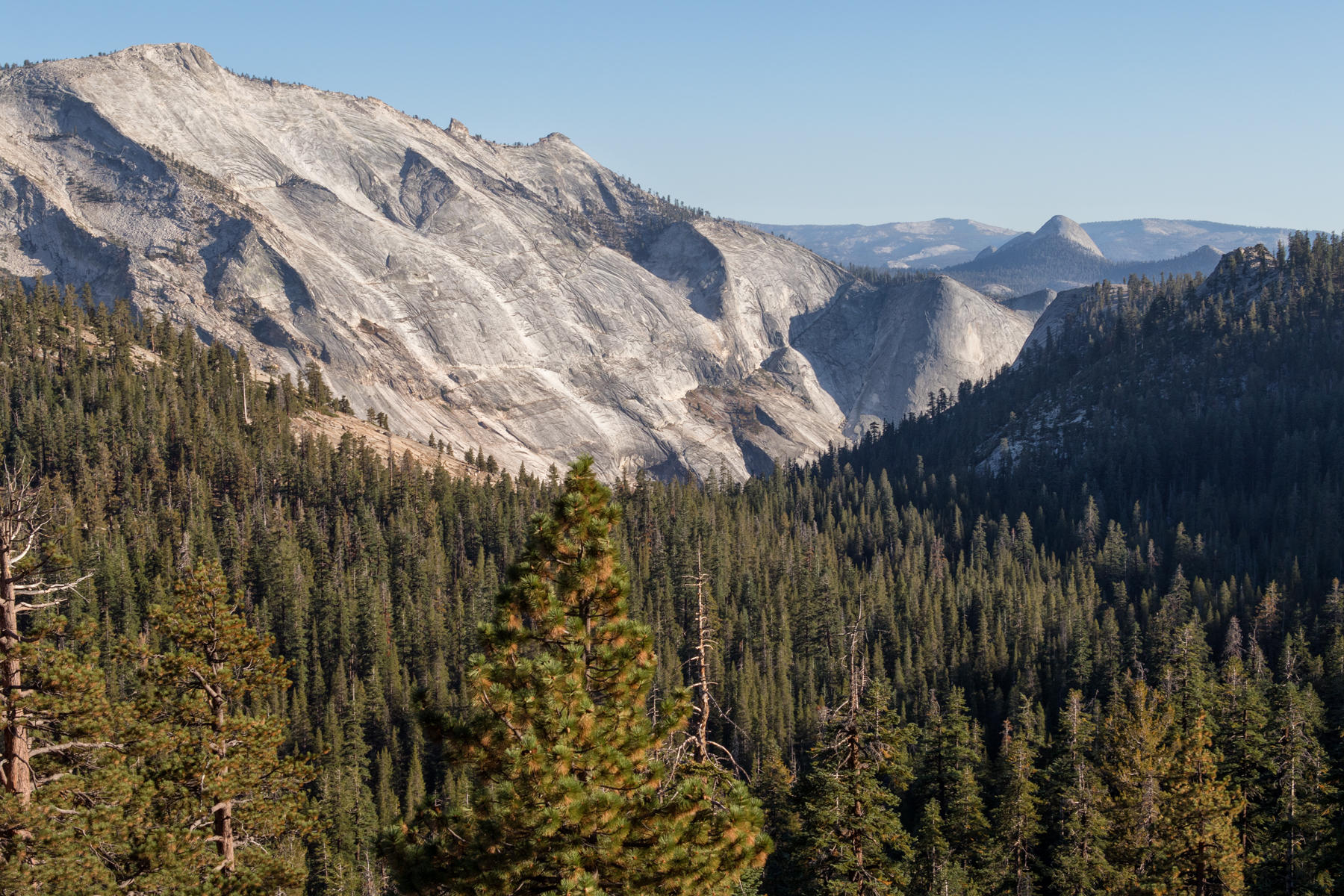 Tioga Road View 1361<br />Yosemite