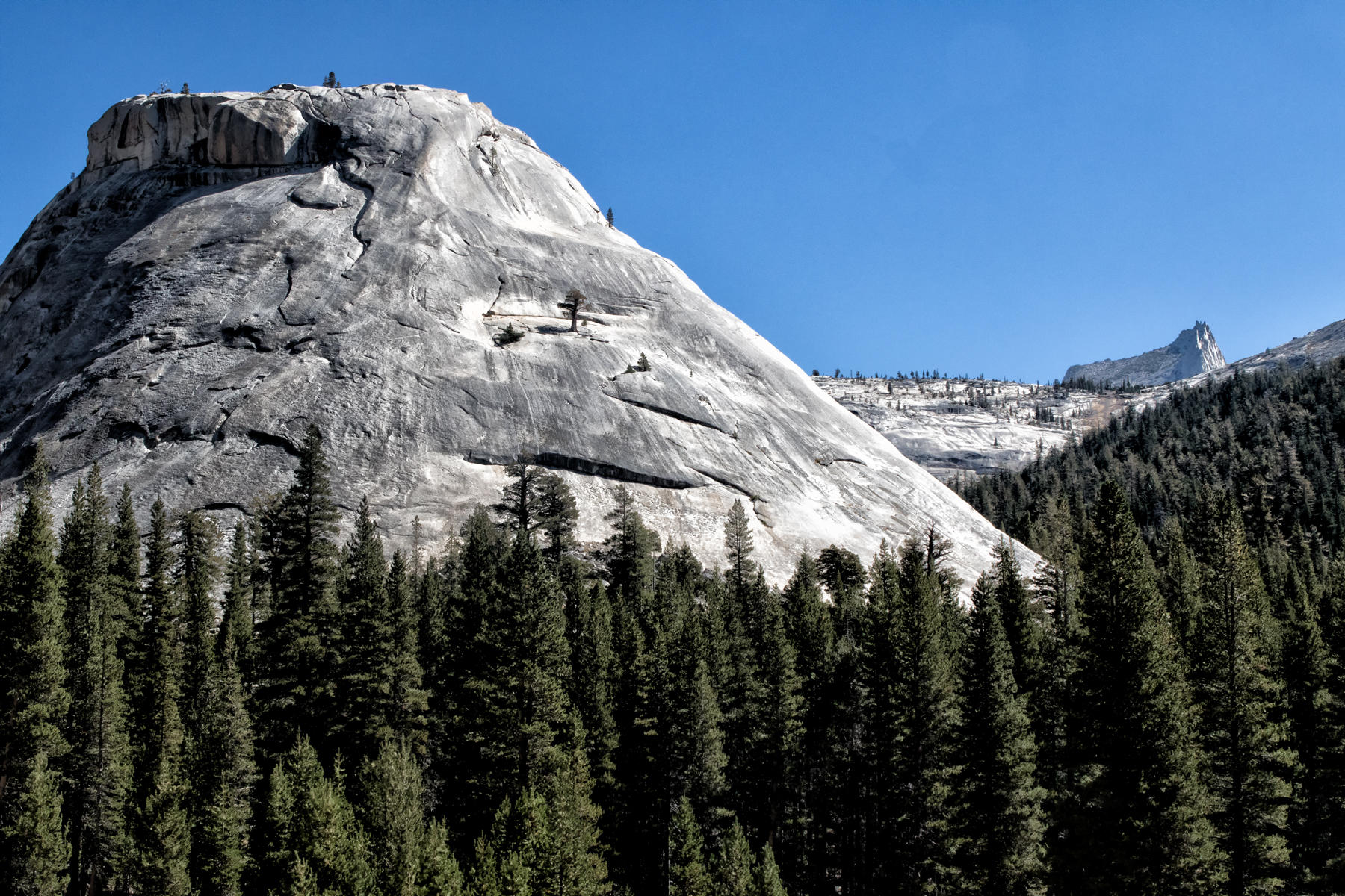 Tioga Road View 1449<br />Yosemite