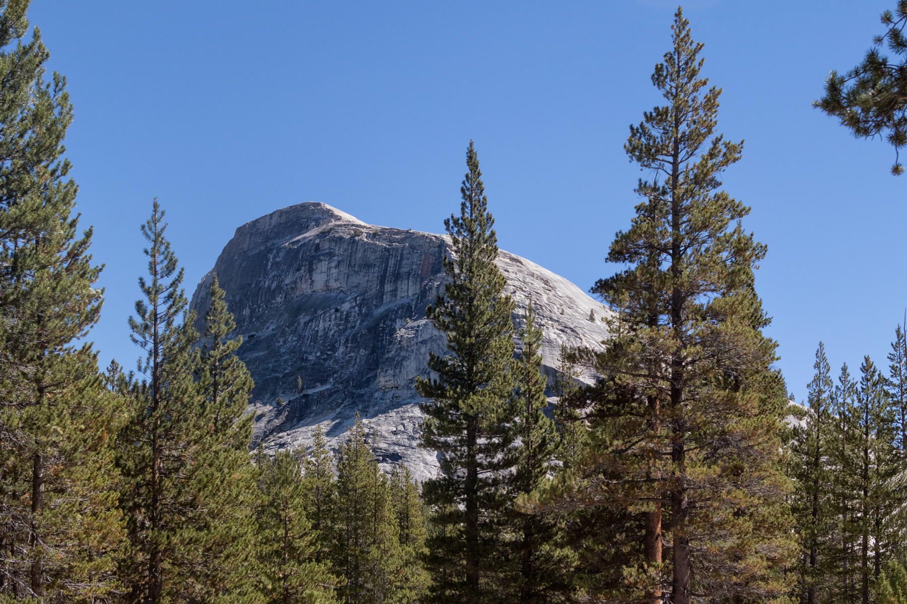 Lembert Dome 1461<br />Yosemite