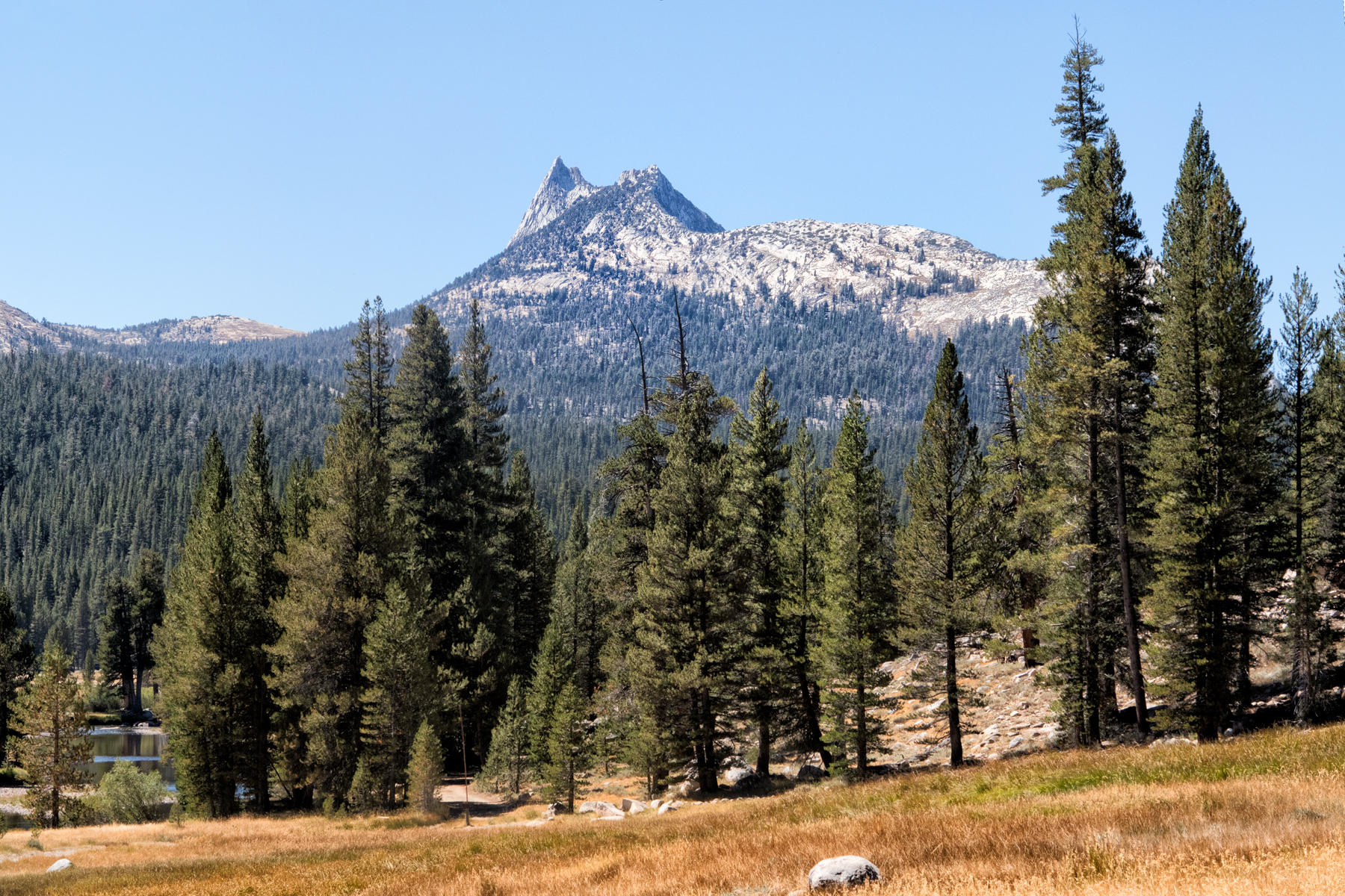 Tuolumne Meadows 1499<br />Yosemite