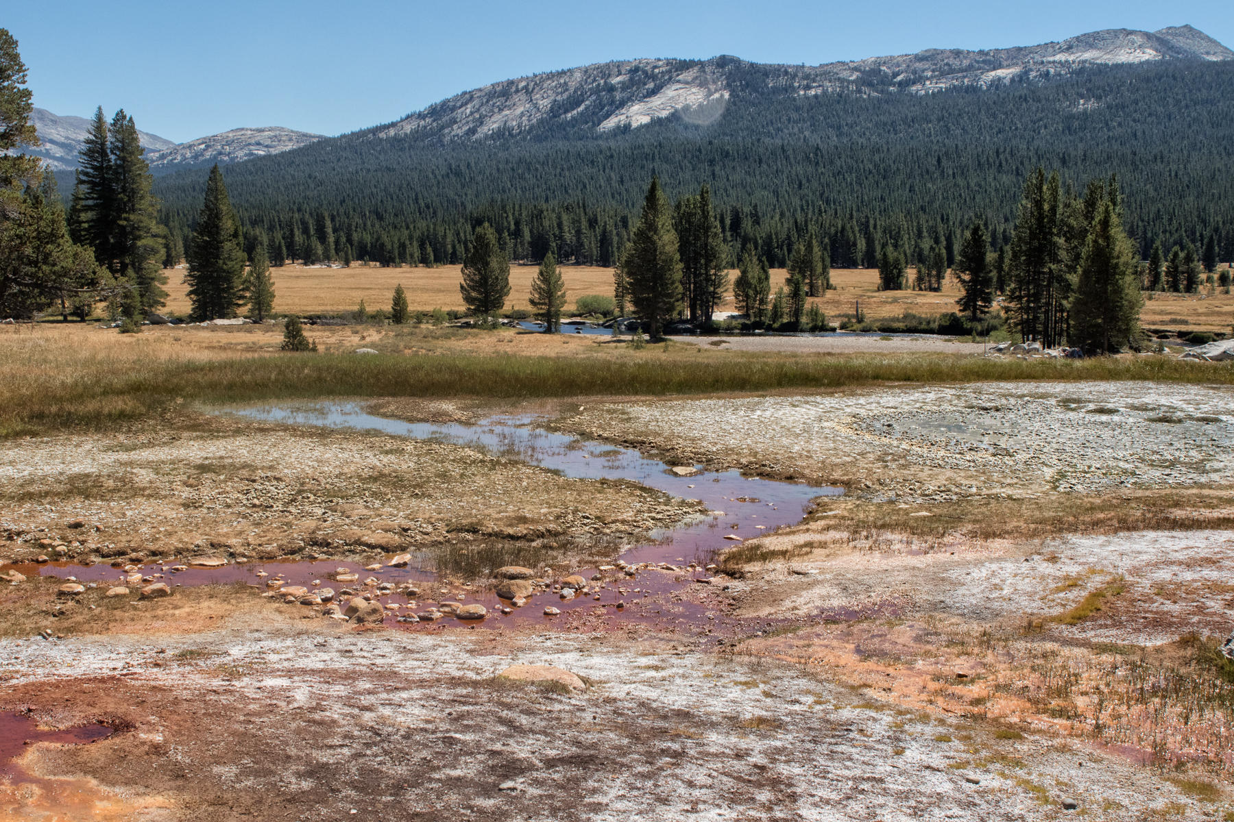 Soda Springs 1520<br />Yosemite