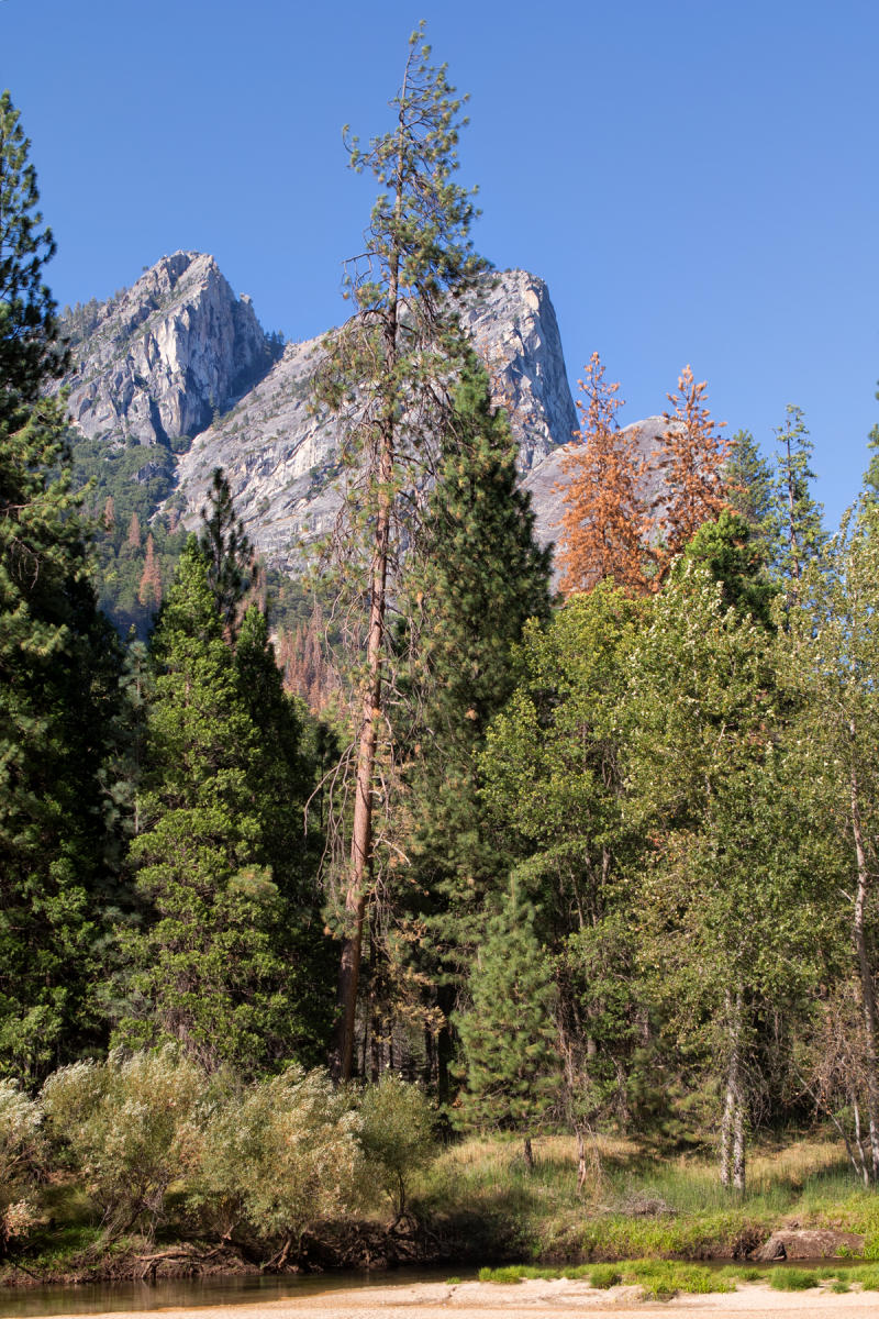 Three Brothers 1637<br />Yosemite