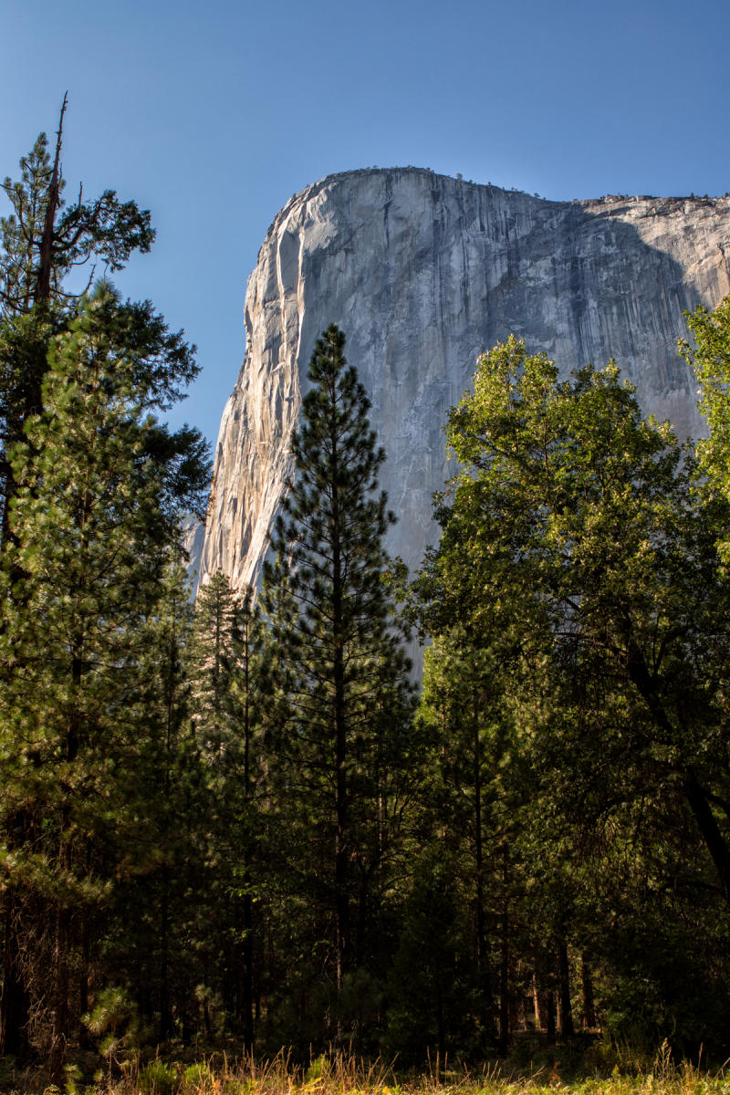 El Capitan 1645<br />Yosemite