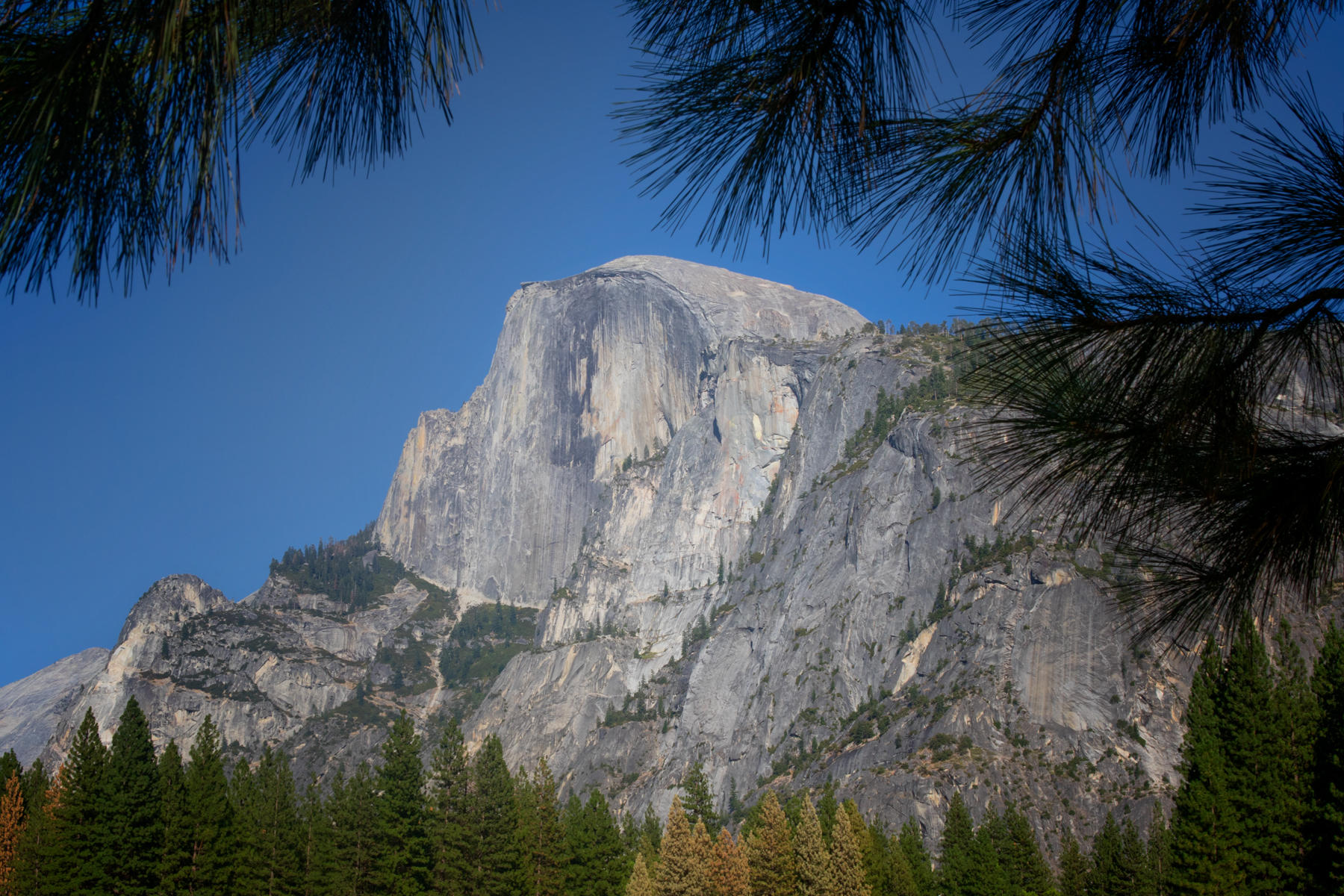 Half Dome 1685<br />Yosemite