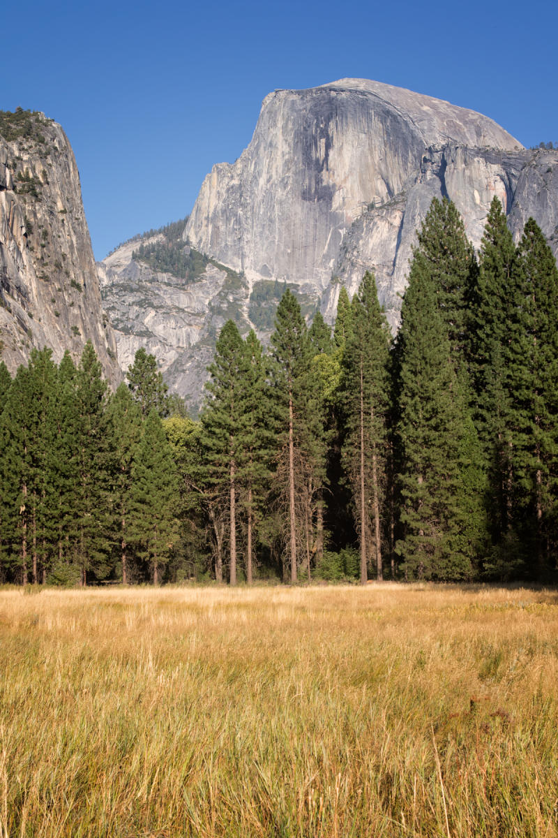 Half Dome 1705<br />Yosemite