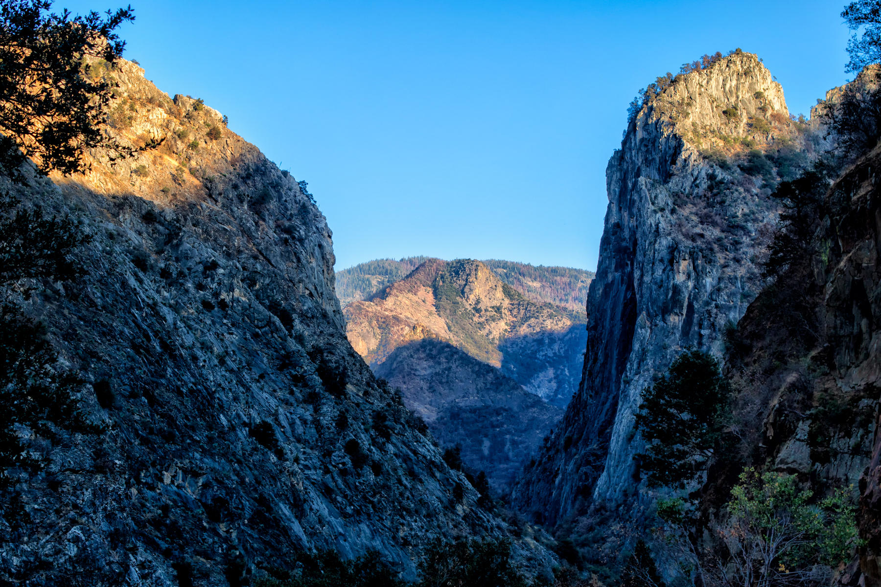 Kings Canyon NP 2189