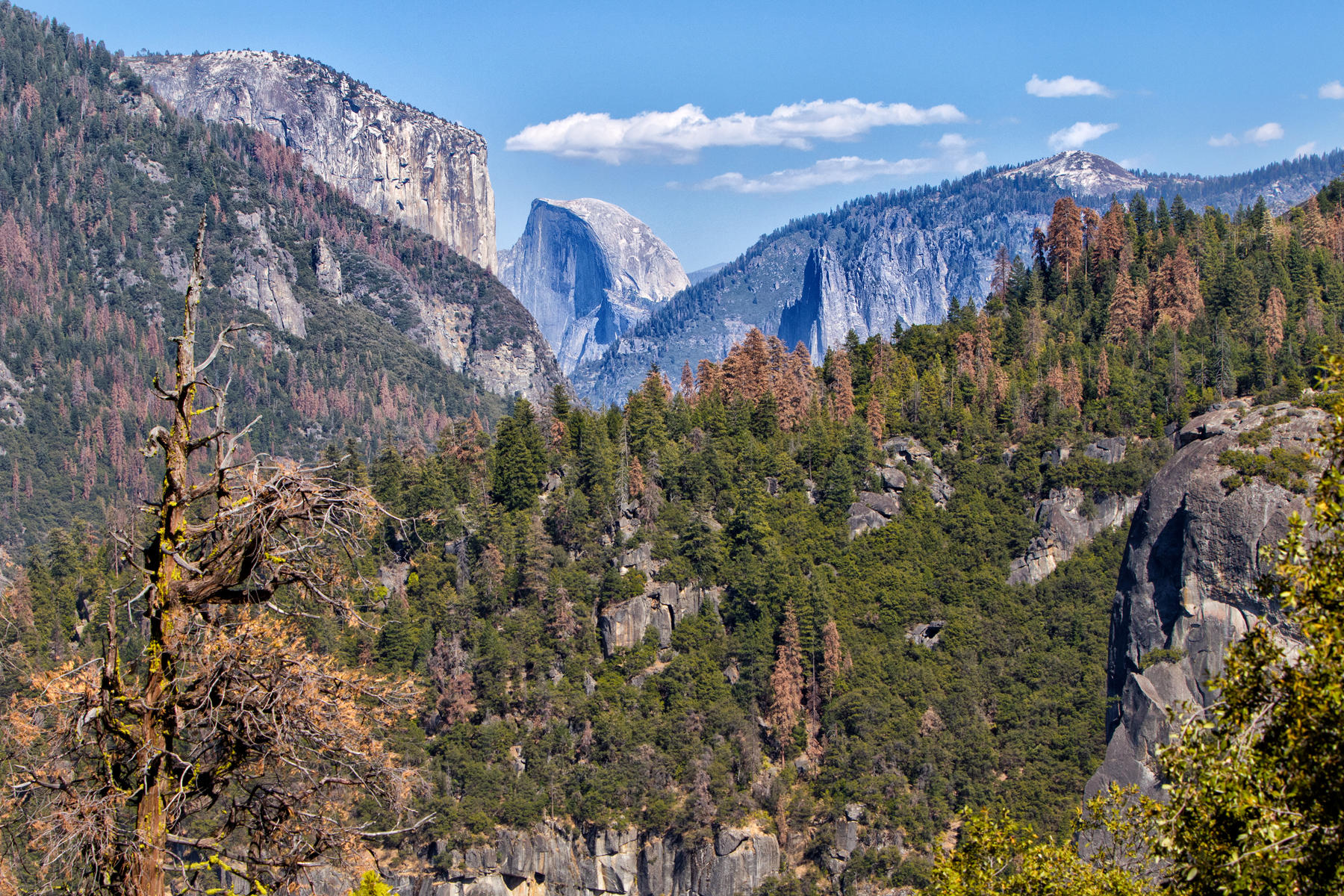 View from Big Oak Flat Road 1581<br />Yosemite 