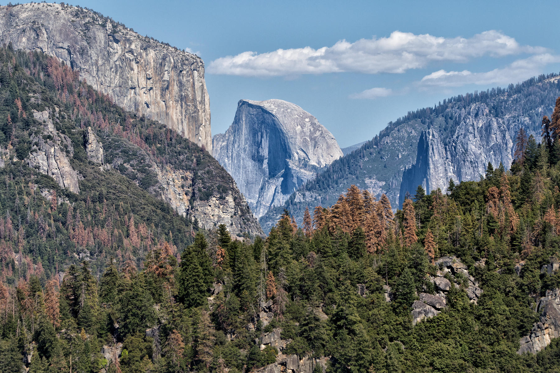 View from Big Oak Flat Road 1592<br />Yosemite