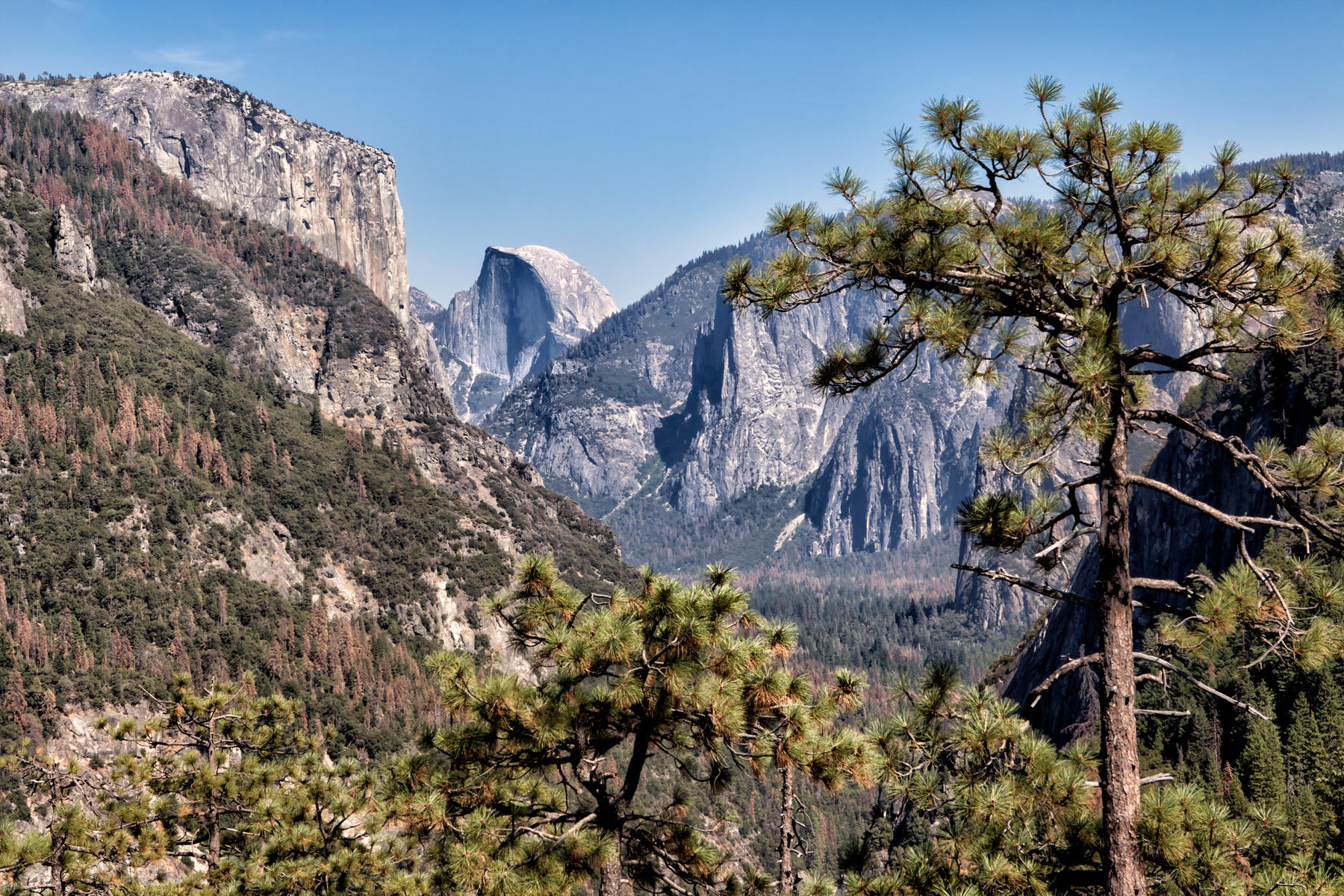 View from Big Oak Flat Road 1982<br />Yosemite