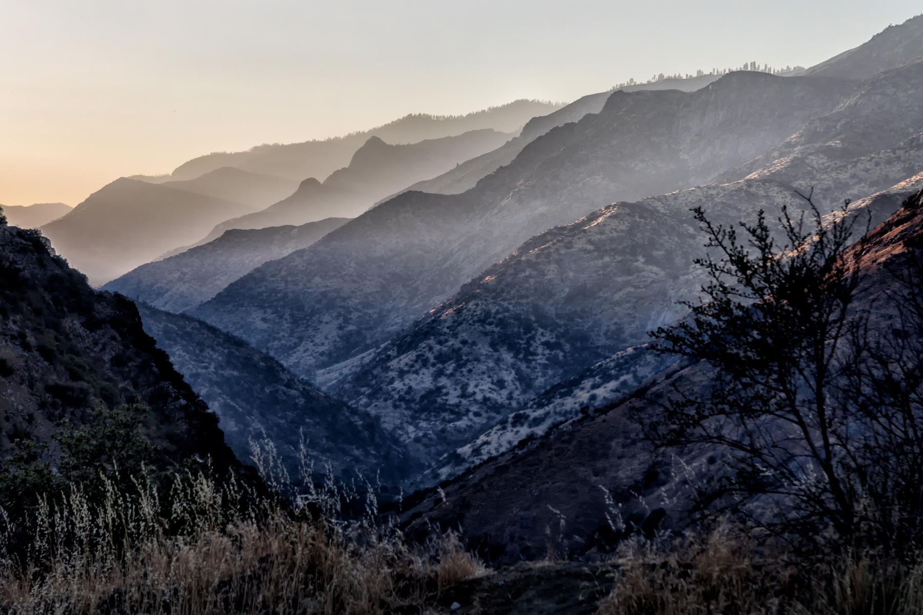 Kings Canyon NP 2207