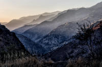 © Lawrence Lee. All Rights Reserved.